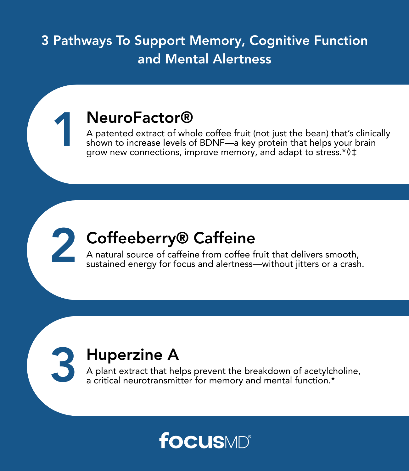 FocusMD | Brain Health | Memory | Concentration | Energy | B Vitamins